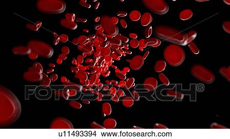 Illustration of blood cells inside an artery. View Large Photo Image Picture - Illustration of blood cells inside an artery.. Fotosearch