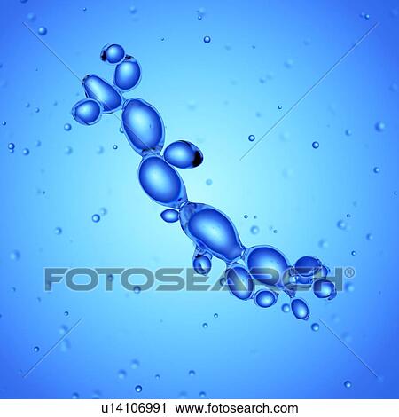 Stock Image - Illustration of candida albicans yeast.. Fotosearch