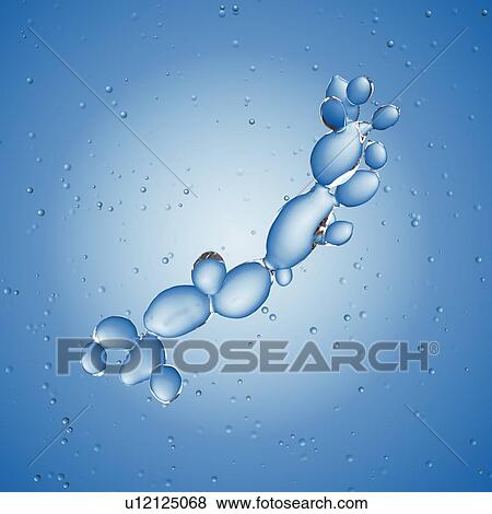 Stock Photo - Illustration of candida albicans yeast.. Fotosearch
