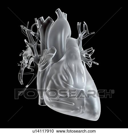 Illustration of glass heart. View Large Photo Image Stock Image - Illustration of glass heart.. Fotosearch
