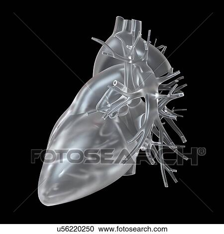 Stock Image - Illustration of glass heart.. Fotosearch