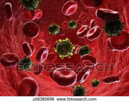Illustration of HIV particles in human blood. View Large Photo Image Stock Photo - Illustration of HIV particles in human blood.. Fotosearch
