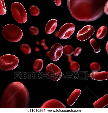 Illustration of human blood cells. View Large Photo Image Picture - Illustration of human blood cells.. Fotosearch