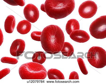 Illustration of human blood cells. View Large Photo Image Picture - Illustration of human blood cells.. Fotosearch