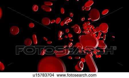 Picture - Illustration of human blood cells.. Fotosearch