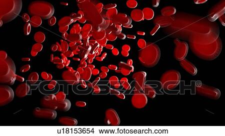 Picture - Illustration of human blood cells.. Fotosearch
