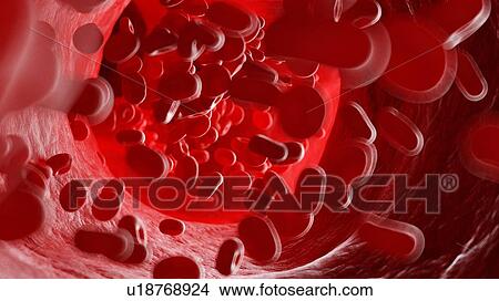 Picture - Illustration of human blood cells.. Fotosearch