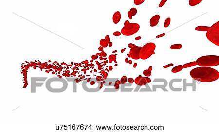 Picture - Illustration of human blood cells.. Fotosearch