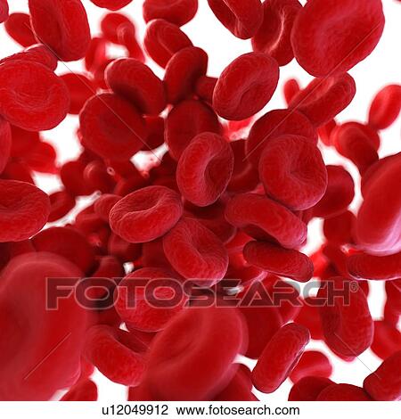 Illustration of human blood cells. View Large Photo Image Stock Image - Illustration of human blood cells.. Fotosearch