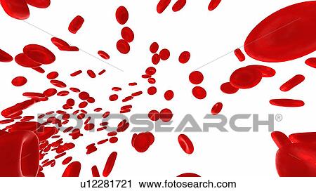 Stock Image - Illustration of human blood cells.. Fotosearch