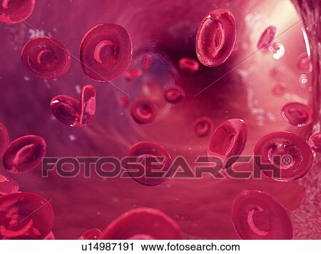 Stock Image - Illustration of human blood cells.. Fotosearch