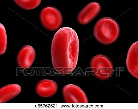 Illustration of human blood cells. View Large Photo Image Stock Image - Illustration of human blood cells.. Fotosearch