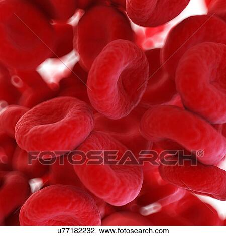 Illustration of human blood cells. View Large Photo Image Stock Image - Illustration of human blood cells.. Fotosearch
