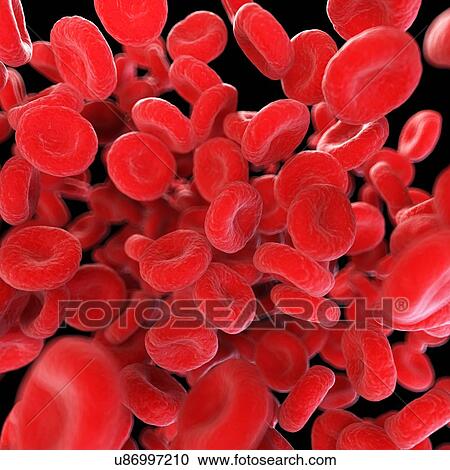 Stock Image - Illustration of human blood cells.. Fotosearch