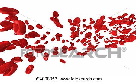 Stock Image - Illustration of human blood cells.. Fotosearch