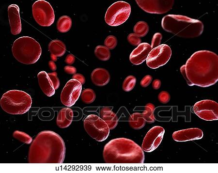 Stock Photo - Illustration of human blood cells.. Fotosearch