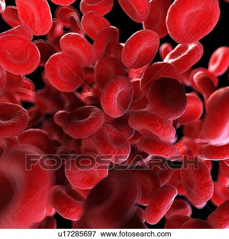 Stock Photo - Illustration of human blood cells.. Fotosearch