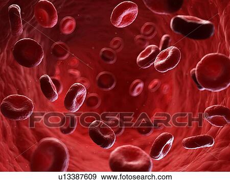 Illustration of human blood stream. View Large Photo Image Stock Photo - Illustration of human blood stream.. Fotosearch