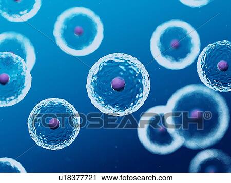 Stock Image - Illustration of human cells.. Fotosearch