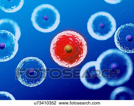Stock Image - Illustration of human cells.. Fotosearch
