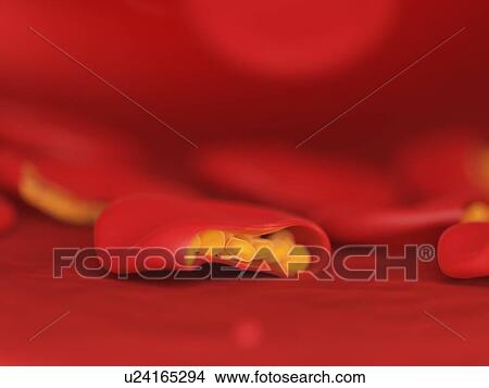 Picture - Illustration of malaria infected blood cells.. Fotosearch