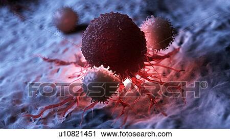 Illustration of white blood cells attacking a cancer cell. View Large Photo Image Stock Image - Illustration of white blood cells attacking a cancer cell.. Fotosearch
