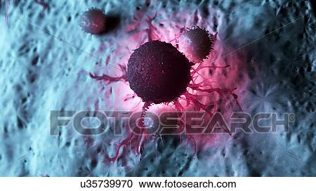 Illustration of white blood cells attacking a cancer cell. View Large Photo Image Stock Image - Illustration of white blood cells attacking a cancer cell.. Fotosearch