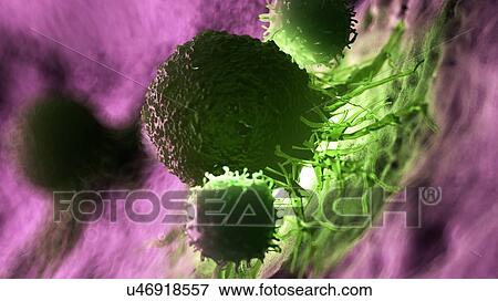Stock Photo - Illustration of white blood cells attacking a cancer cell.. Fotosearch