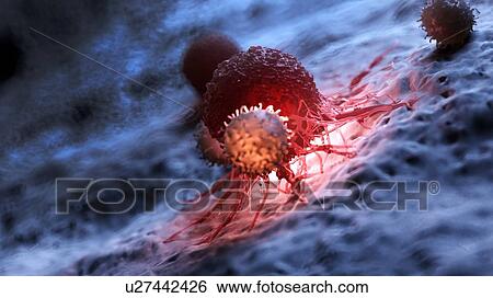 Illustration of white blood cells attacking a cancer cell. View Large Photo Image Stock Photograph - Illustration of white blood cells attacking a cancer cell.. Fotosearch