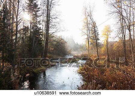 Landscape of woodland river and mist in autumn sunlight, Lohja, Southern Finland, Finland View Large Photo Image Stock Image - Landscape of woodland river and mist in autumn sunlight, Lohja, Southern Finland, Finland. Fotosearch