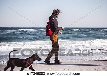 Mid adult man walking his dog along beach, Odessa, Odeska Oblast, Ukraine View Large Photo Image Stock Image - Mid adult man walking his dog along beach, Odessa, Odeska Oblast, Ukraine. Fotosearch