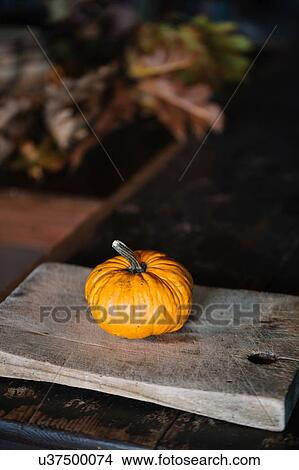 Pumpkin on rustic cutting board View Large Photo Image Picture - Pumpkin on rustic cutting board. Fotosearch