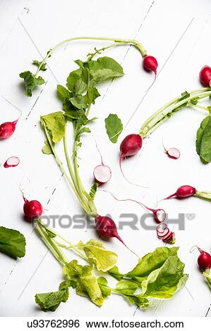 Radishes with stems and leaves, still life, overhead view View Large Photo Image Stock Photograph - Radishes with stems and leaves, still life, overhead view. Fotosearch