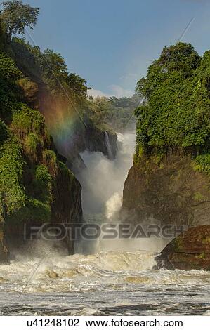 River Nile and the waterfall at Murchison Falls National Park, Uganda View Large Photo Image Stock Image - River Nile and the waterfall at Murchison Falls National Park, Uganda. Fotosearch