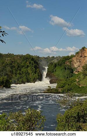 Stock Photography - River Nile and the waterfall at Murchison Falls National Park, Uganda. Fotosearch