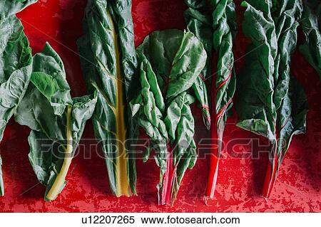 Stock Photography - Row of vegetable leaves on red background, overhead view. Fotosearch