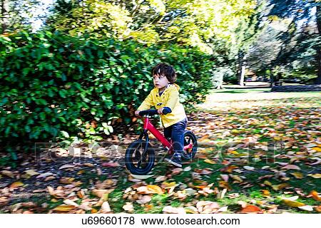 Toddler cycling in park View Large Photo Image Stock Photo - Toddler cycling in park. Fotosearch