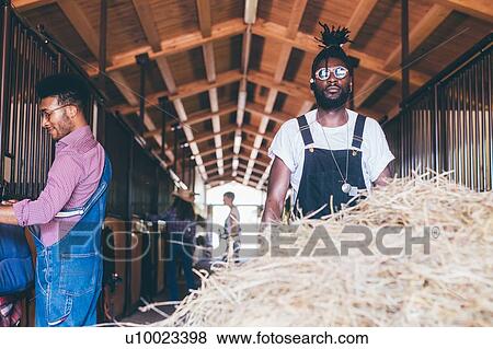 Stock Photo - Two cool young men working in stable. Fotosearch