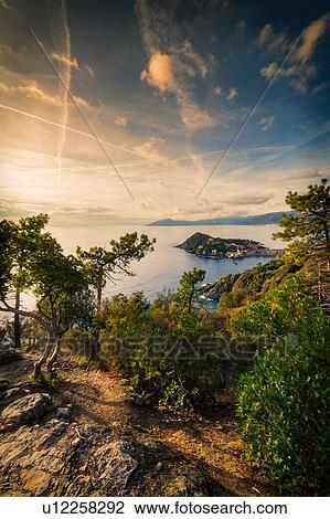 View from hill, Sestri Levante, Liguria, Italy View Large Photo Image Stock Image - View from hill, Sestri Levante, Liguria, Italy. Fotosearch