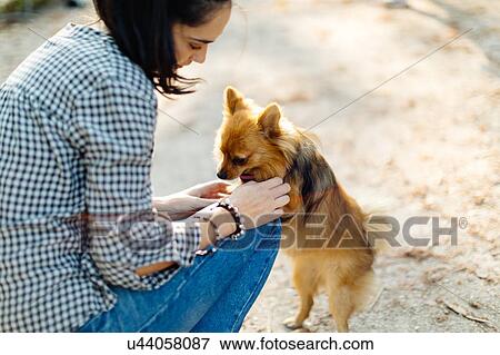 Woman with pet dog in park View Large Photo Image Stock Photo - Woman with pet dog in park. Fotosearch