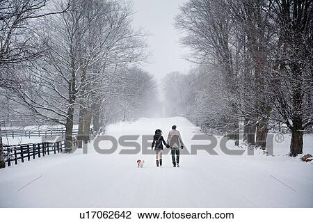 Stock Image - Young couple walking dog in snow covered forest, rear view, Ontario, Canada. Fotosearch