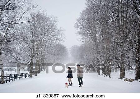 Stock Photo - Young couple walking dog in snow covered forest, rear view, Ontario, Canada. Fotosearch