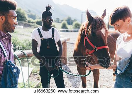 Young woman and men bonding with horse in rural equestrian arena View Large Photo Image Stock Image - Young woman and men bonding with horse in rural equestrian arena. Fotosearch