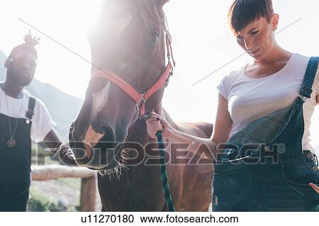 Young woman leading horse in sunlit equestrian arena View Large Photo Image Stock Image - Young woman leading horse in sunlit equestrian arena. Fotosearch