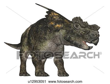 Stock Image - Achelousaurus against a white background, illustration.. Fotosearch