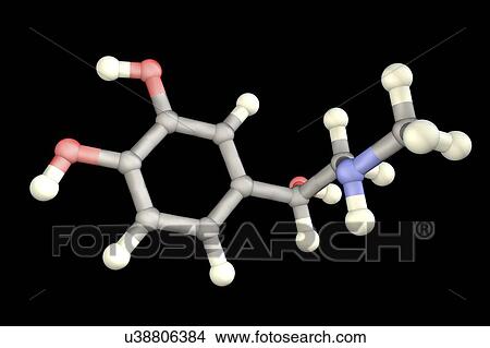 Picture - Adrenaline, molecular model. Fotosearch