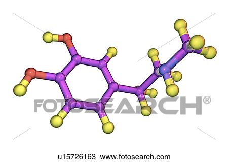 Stock Image - Adrenaline, molecular model. Fotosearch