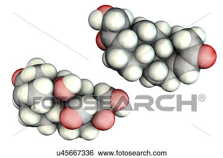 Aldosterone hormone, molecular model View Large Photo Image Stock Photograph - Aldosterone hormone, molecular model. Fotosearch