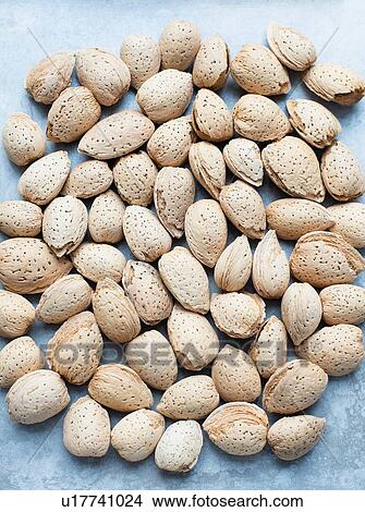 Almonds in shell View Large Photo Image Picture - Almonds in shell. Fotosearch