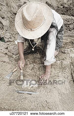 Stock Image - Archaeologist excavating a skull. Fotosearch